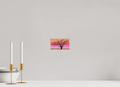 16 x 9 cm, Acrylic Glass - Gloss African tree Vachellia Trotillis