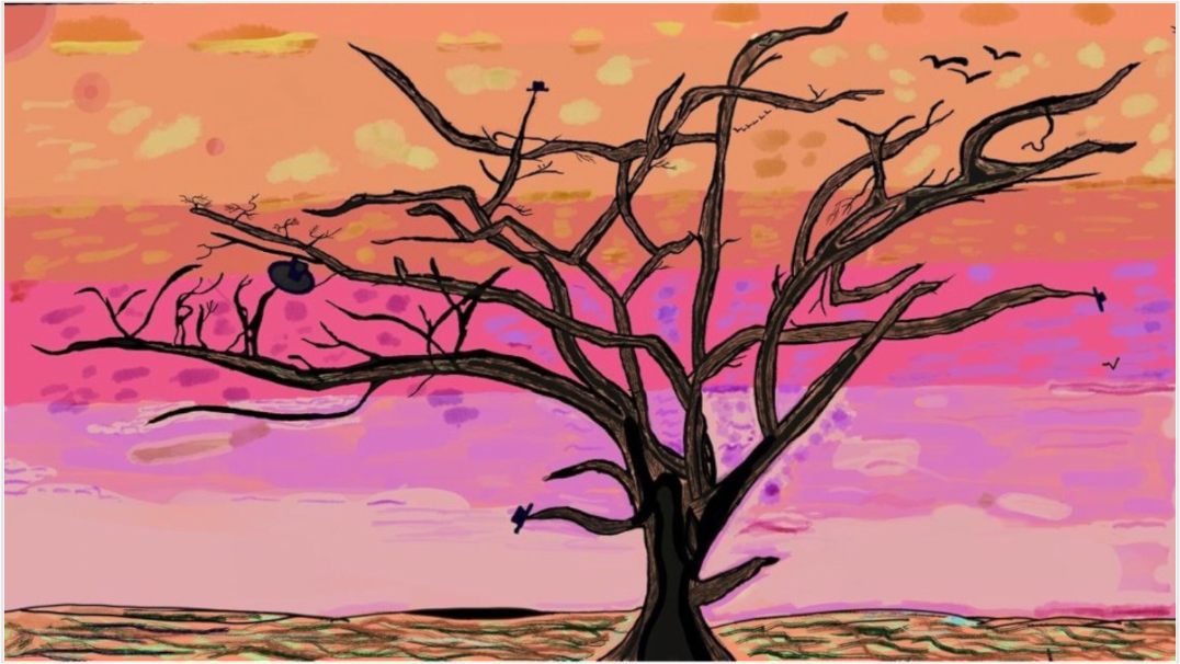 Main image African tree Vachellia Trotillis