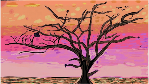 Main image African tree Vachellia Trotillis